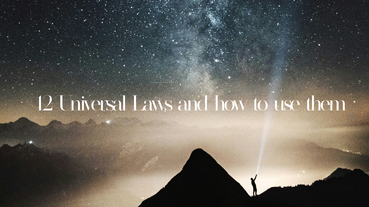 12 universal laws of business